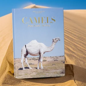 Camels from Saudi Arabia (Classic)