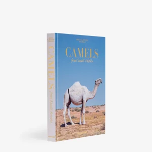 Camels from Saudi Arabia (Classic)